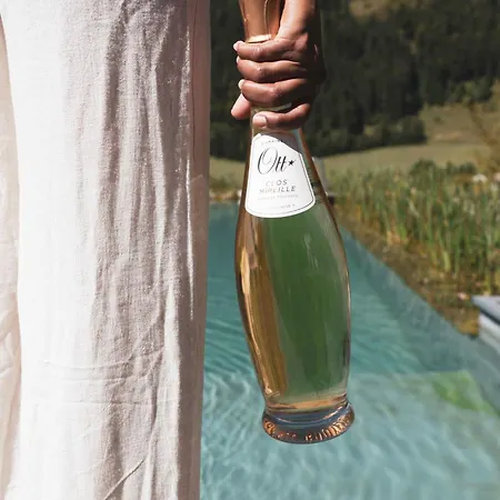 Adults Only Boutique-hotel Unterlechner Sankt Jakob in Haus